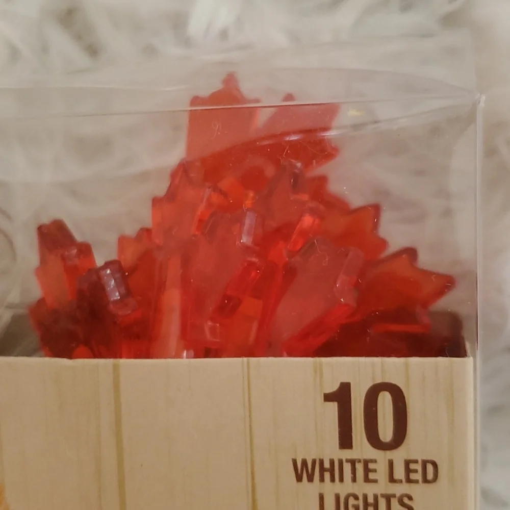 10 led Leaf/Autumn String Lights